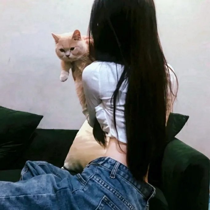 两个海伦